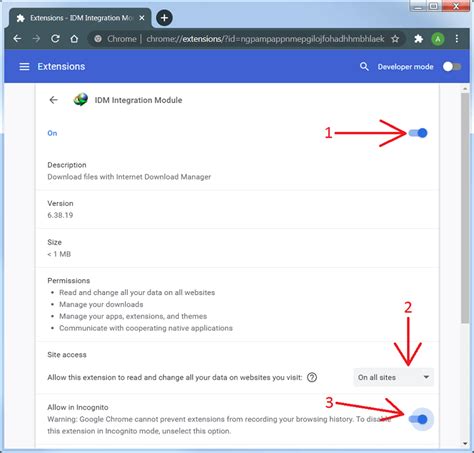 Internet Download Manager: Chrome browser integration does .